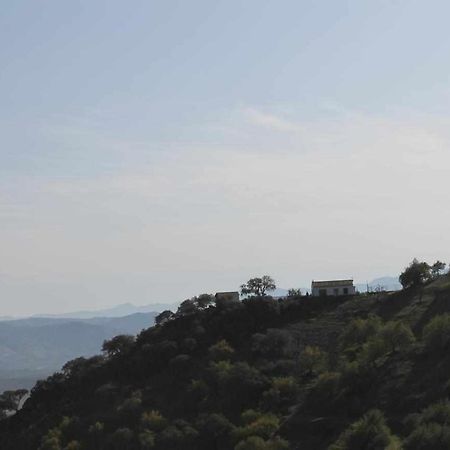 Casa Rural El Chaparro 埃尔乔罗 外观 照片