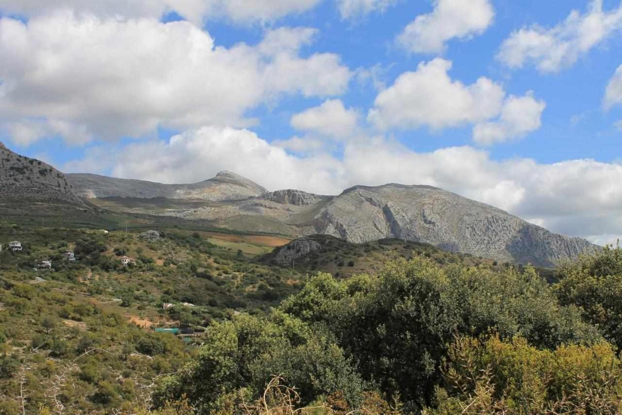 Casa Rural El Chaparro 埃尔乔罗 外观 照片